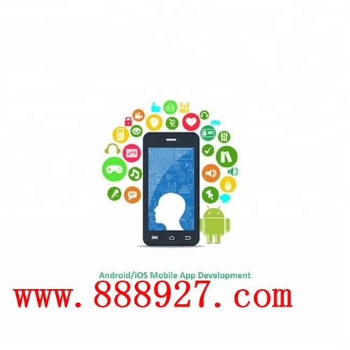 深圳西鄉(xiāng)企業(yè)APP開(kāi)發(fā) 科技公司的軟件開(kāi)發(fā)之道